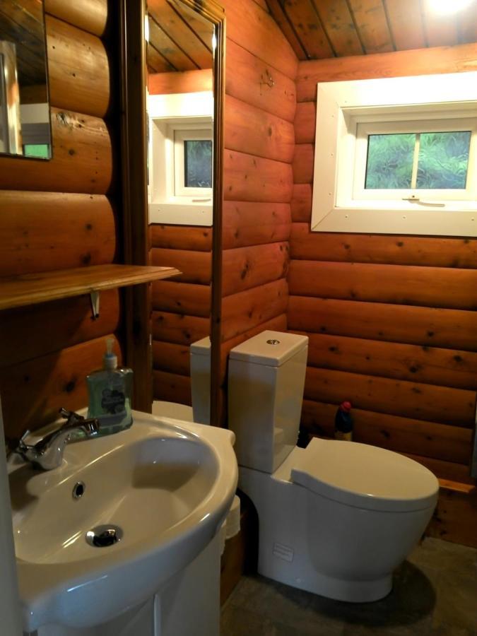 Shifty Chicken Shack Villa Trawsfynydd Bagian luar foto